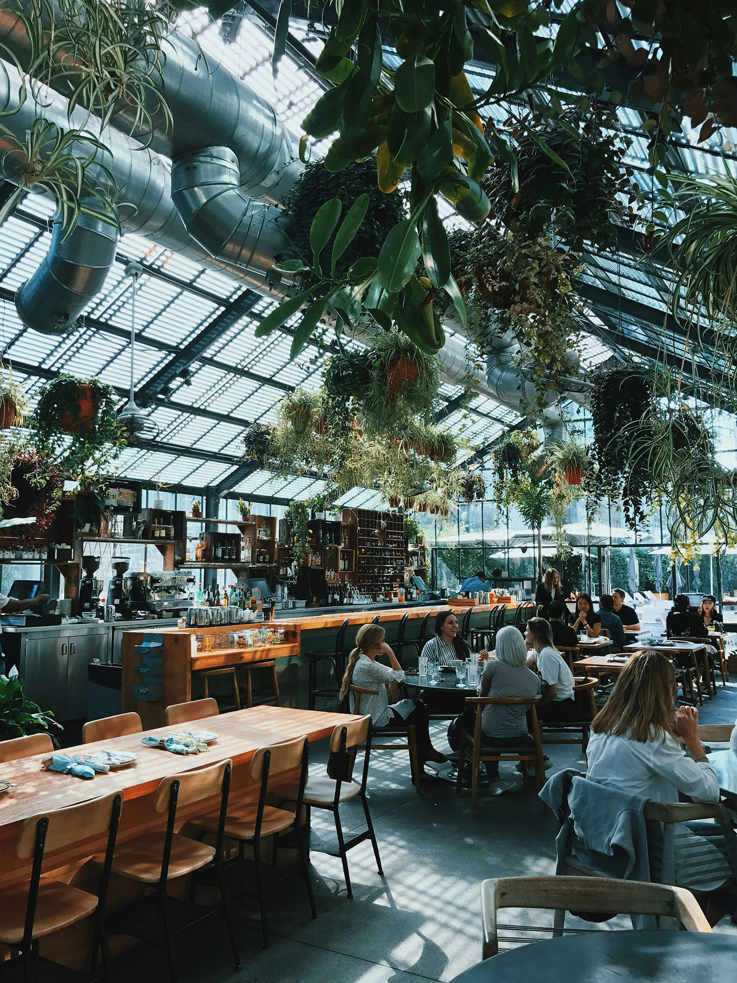 restaurant with plants